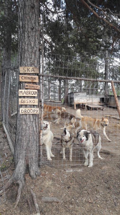Cabin At Huskies Farm อีนารี ภายนอก รูปภาพ