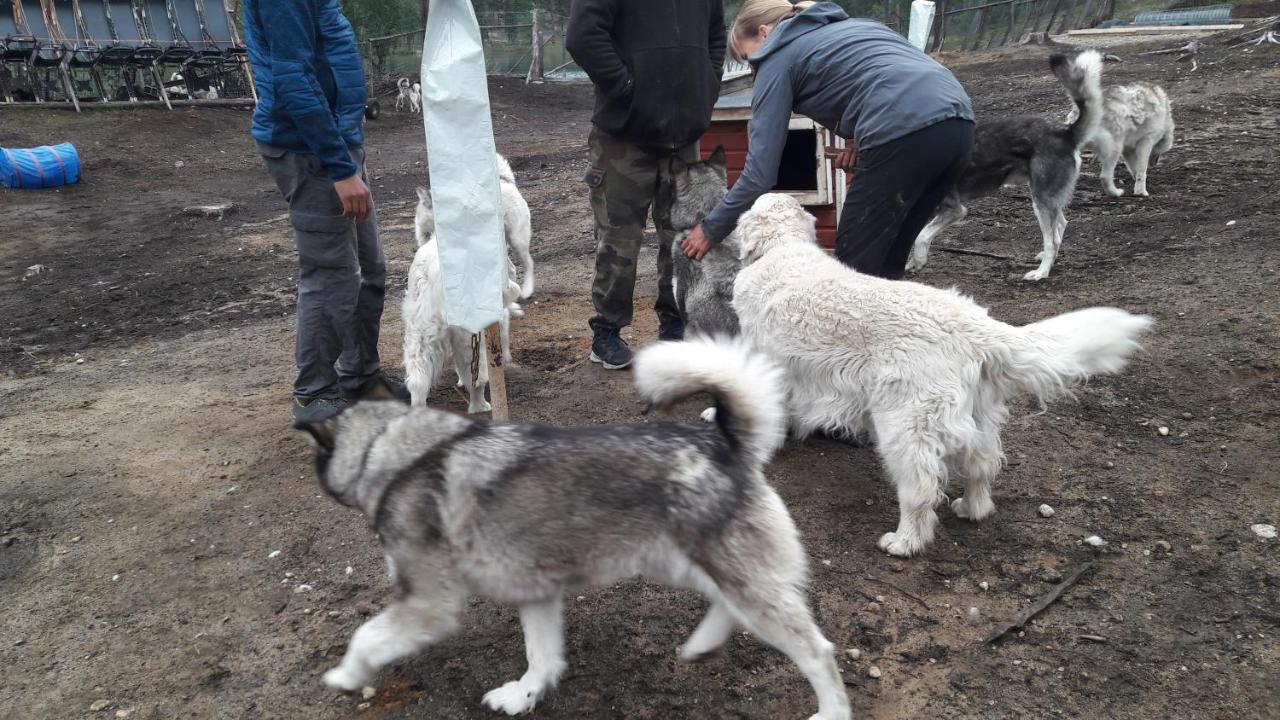 Cabin At Huskies Farm อีนารี ภายนอก รูปภาพ